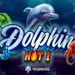 Dolphin Hot 1